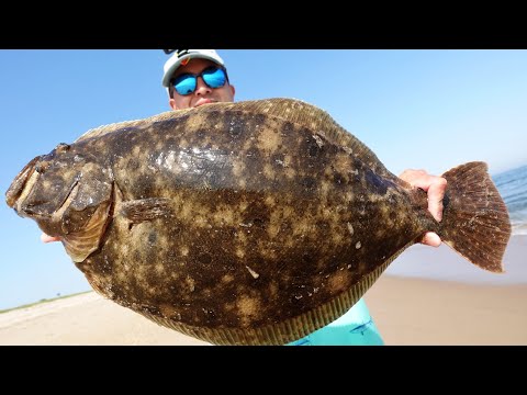 GIANT Fluke from Shore + Catch and Cook - Epic Flounder Fishing w/Single Jig and Gulp