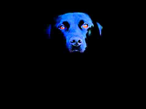 Michael Jay Parker and Jan Miller - Shinowata