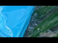 Vidéo