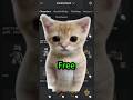 How To Look Like EL GATO On ROBLOX For FREE