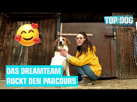 Jana und Karlson im Parcours 🥰🐶 | Top Dog Germany 2022