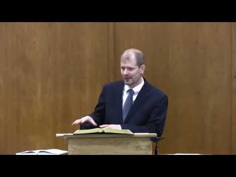 Bible Animals: Little but Wise