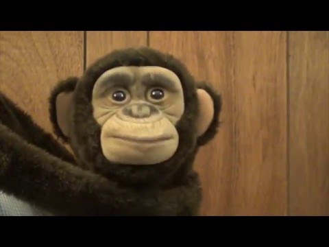 Happy birthday jules :)