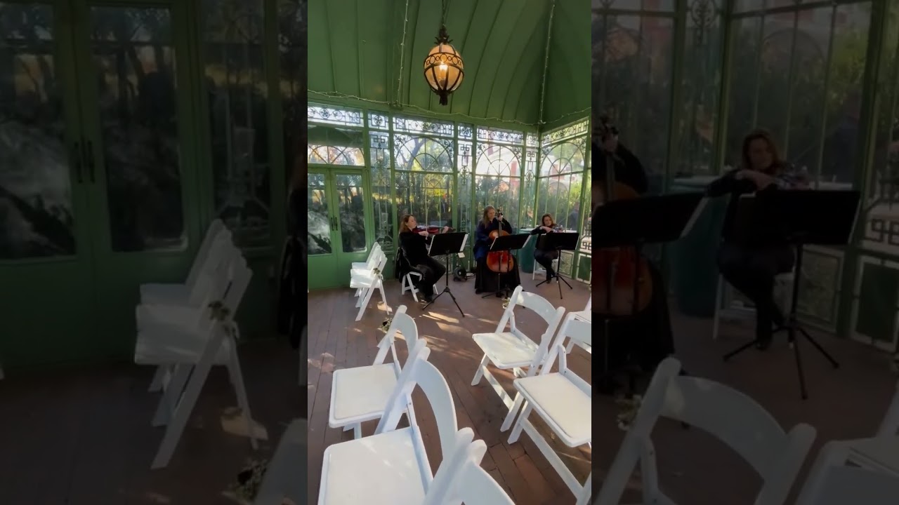 Promotional video thumbnail 3 for Flute and Strings by Christen Stephens