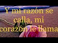 Quiero amanecer con alguien ❤️Daniela Romo Letra