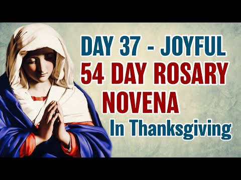 54 Day Rosary Novena Day 37 💙Joyful Mysteries