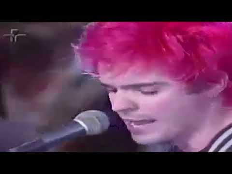 City Paranoia - Holly Tree