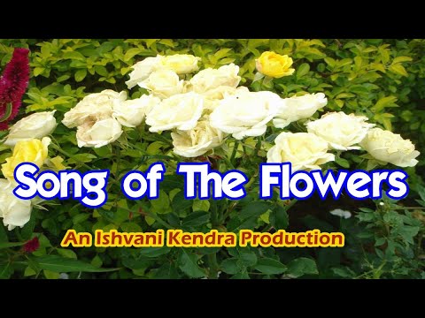 My Lord let me Sing Your Praise (Song of The Flowers)