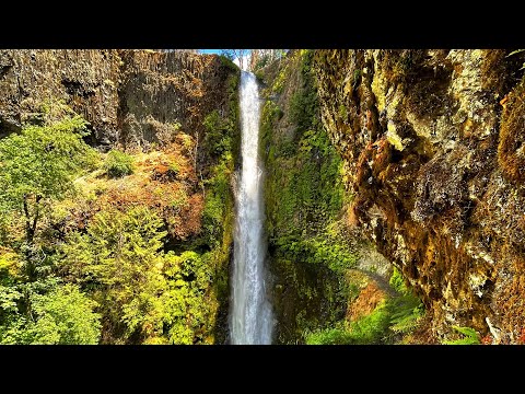 Eagle Creek trail : Hiking Oregon