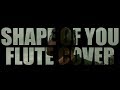 Shape Of You Flute Cover Piyush Tiwari
