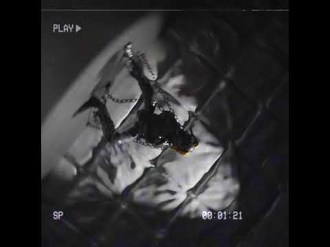 Sugarbana - Nobody Fit (Lyric Video)