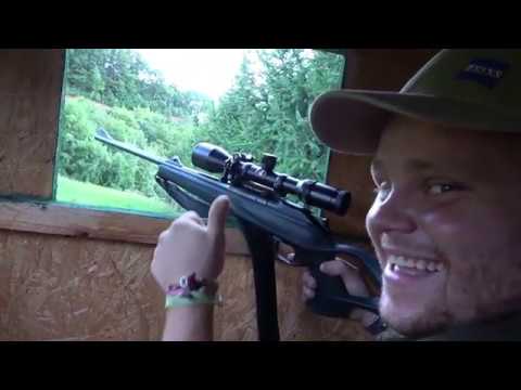 Abnormer Rehbock in der Brunft erlegt