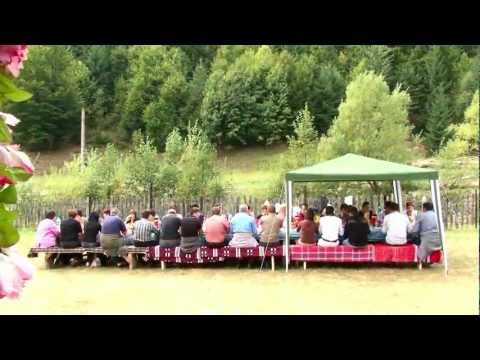 ,,PICNIC'' la Valea de Brazi