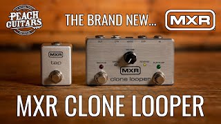 MXR Tap Tempo Switch M199 - What To Know & Where To Buy MXR Tap Tempo Switch M199 - What To Know & Where To Buy