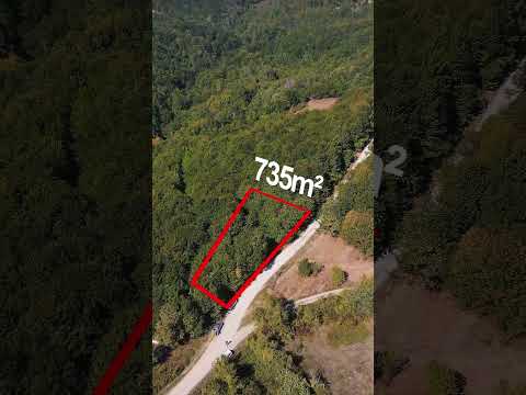 YouTube Shorts Önizleme