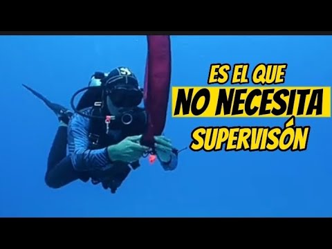 Clase 1. EL BUZO COMPLETO Y BIEN ENTRENADO.