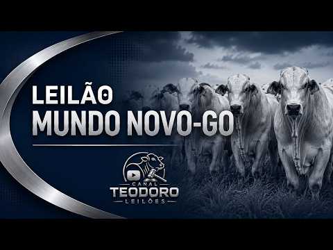 LEILÃO DO  MUNDO NOVO LEILÕES 29/07/2026