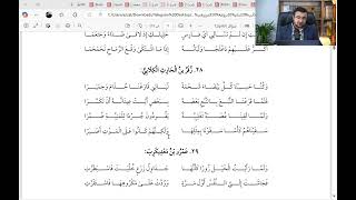 المجلس الثامن والثلاثون في التعليق على ديوان الحماسة - (ولما رأيت الخيلَ زُورًا كأنها) image