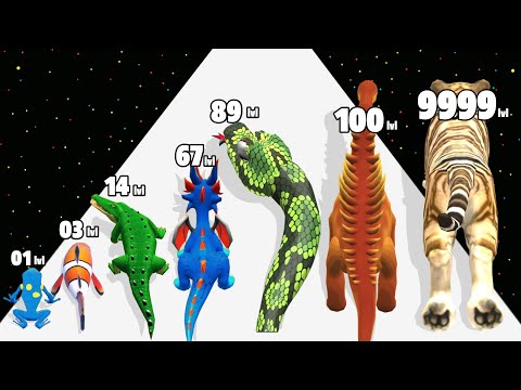Human Evolution 3D Run - Level Up Human Max Level Gameplay