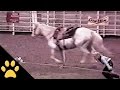Rodeo Event Gone Wrong
