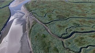 Het Verdronken Land van Saeftinghe - The Tale of a Drowned Land