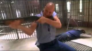 Raunchy - Twelve Feet Tall