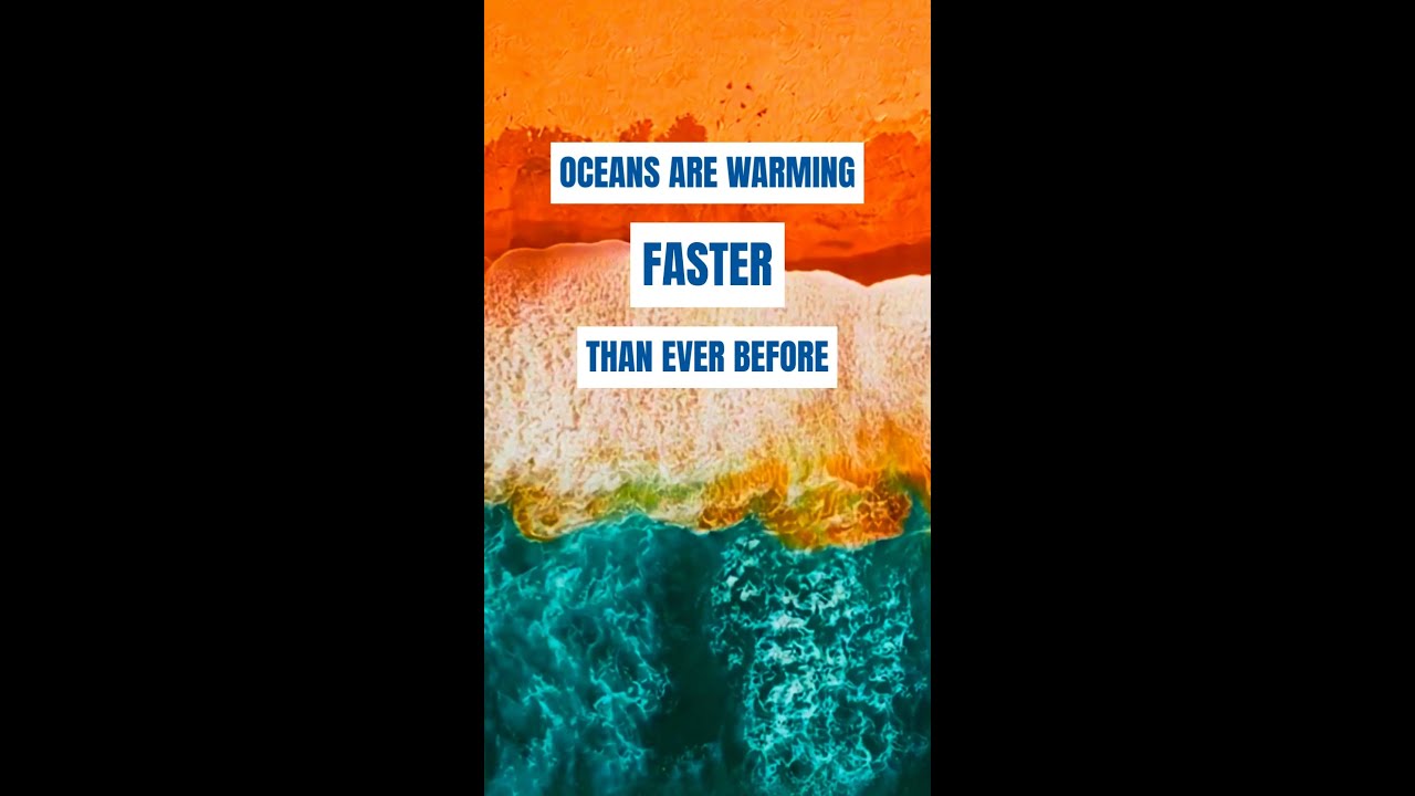 What are marine heatwaves and what do they mean for our oceans?