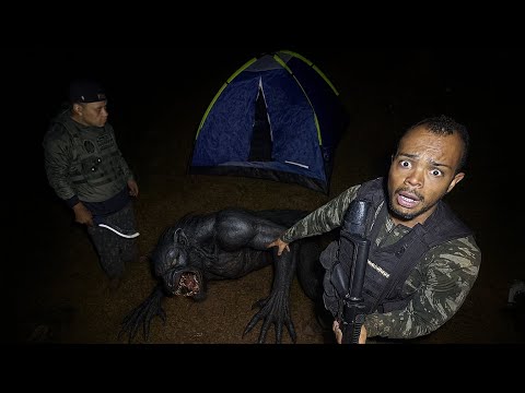 Pinguim ld and Pinguimld Aventura 