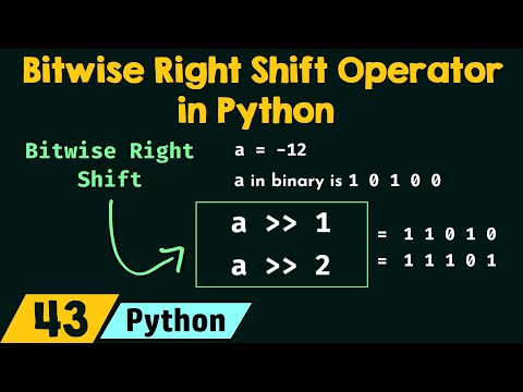 Learn Bitwise Right Shift Operator in Python - Mind Luster