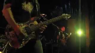 Hot Action Cop - Fever for the Flava (Live)