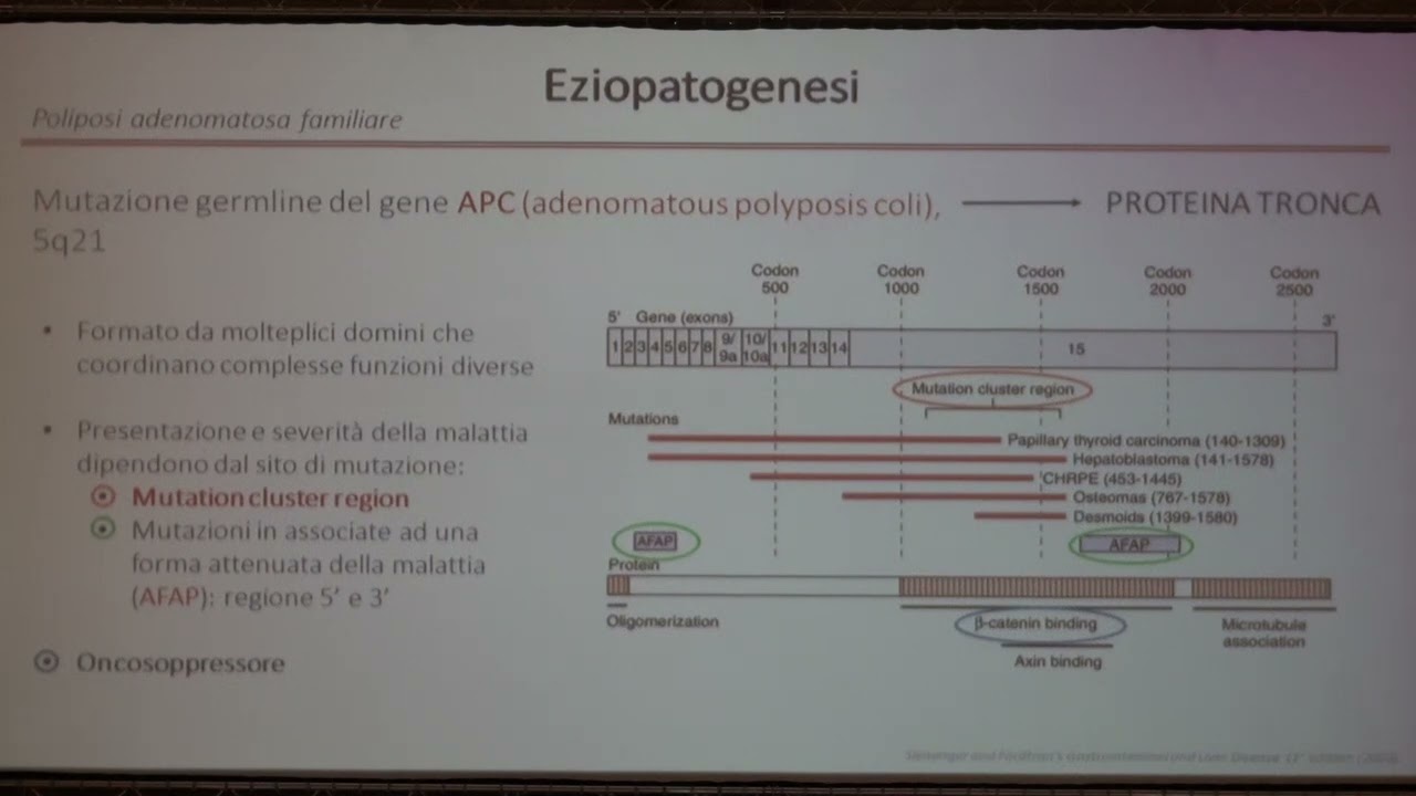 Watch Now Alfredo Di Leo - Poliposi familiari ereditarie: esperienza dell’ambulatorio dedicato Alfredo Di Leo - Poliposi familiari ereditarie: esperienza dell’ambulatorio dedicato
