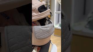 【お買い物デート】興味ないけど付き合ってくれる、最高にクールなフレブル🐶