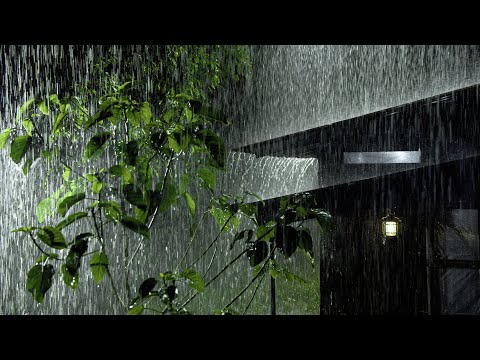 Fall into Sleep Fast in 2 Minutes with Heavy Rain & Mighty Thunder Sounds on Forest House at Night