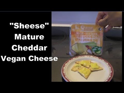 download lagu mp3 mp4 Sheese Cheddar, download lagu Sheese Cheddar gratis, unduh video klip Sheese Cheddar