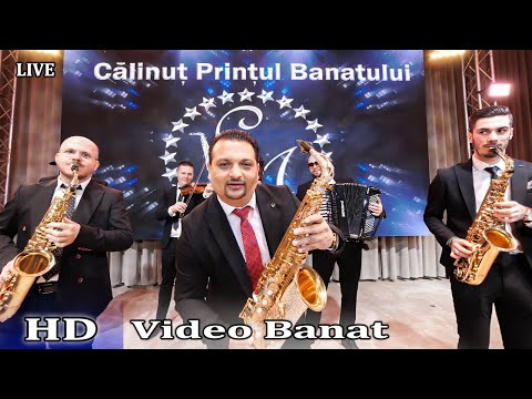 CĂLINUŢ PRINŢU BANATULUI  || ARDELEANA YUGO 2020 || 4K