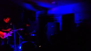 MONEY - Bluebell Fields Live