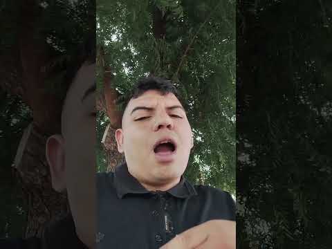 porque Santiago Botero debe ser presidente?