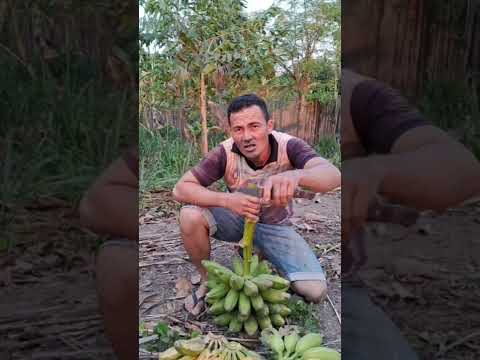 SUA CIDADE FICA PERTO DE SANTO ANTÔNIO DOS LOPES?