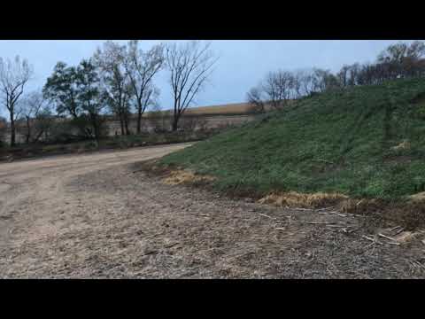 Setting for coyotes on sign