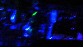 Verdena - Ovunque (Live @ Havana Club)