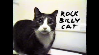 Rock Billy Cat