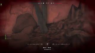 しょうさんとBF5