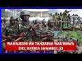 BREAKING NEWS: WANAJESHI WA TANZANIA WAUWAWA UKO DRC KATIKA SHAMBULZI WAKIWA KAMBINI