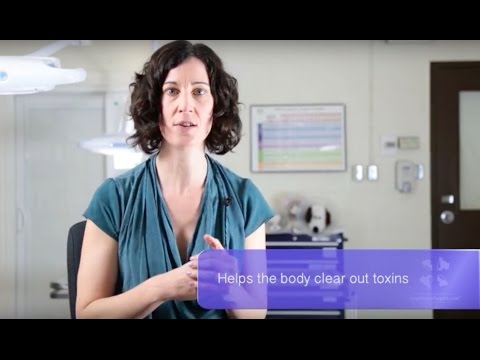 Homotoxicology Explained for Cats and Dogs and How It's Related To Homeopathy | Holistic Vet