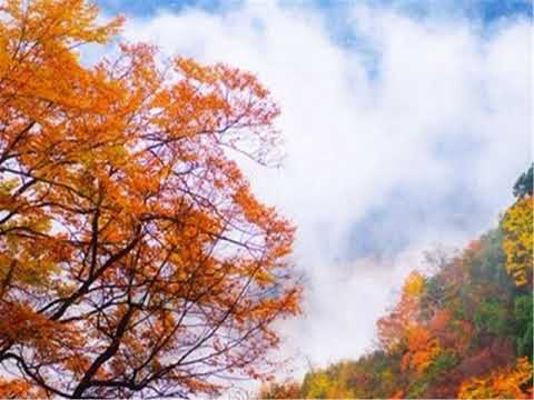 Micangshan Inn - Bazhong - China