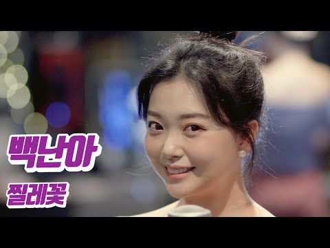 요요미 - 찔레꽃 (백난아) Cover by YOYOMI