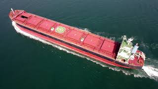 Bulk Carrier 　JIMMY T