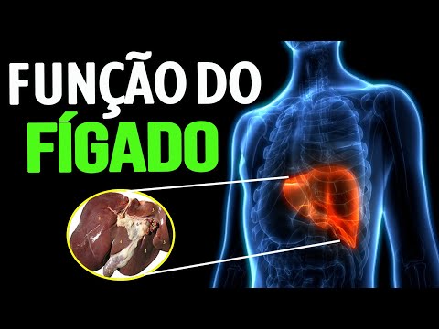 LEARN ABOUT THE FUNCTION OF THE LIVER IN 1 MINUTE