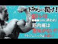 【Q&A8選】筋トレはダラダラやるな!ケトジェニックダイエットは日本人に不向き?塩分はむしろたくさん摂るべき!?