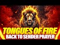 Tongues Of Fire Prayer In The Holy Ghost Pray Until Something Happen